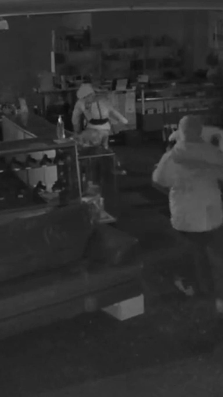 gun store heist