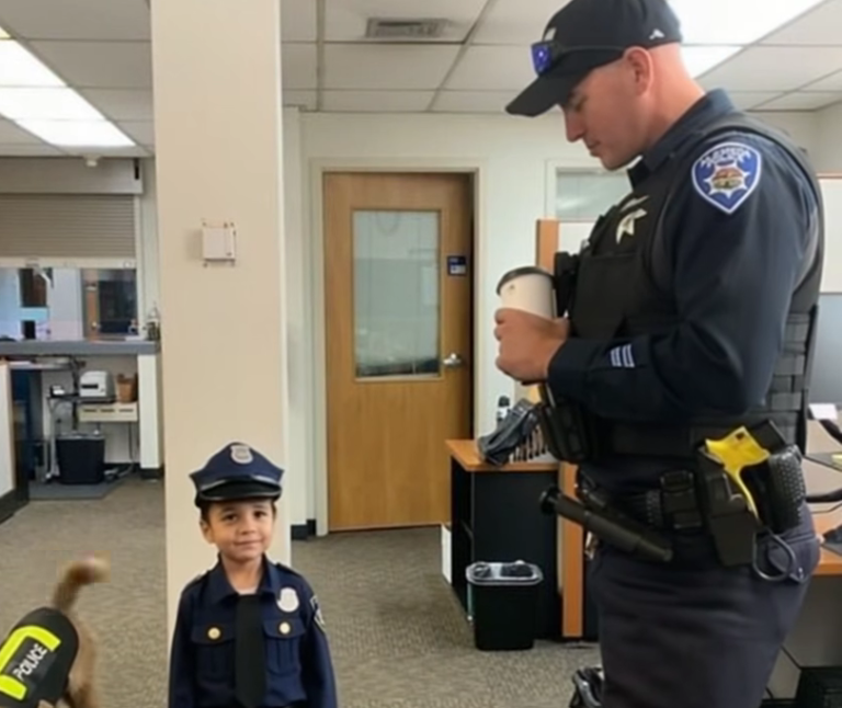 Screenshot 2025-07-22 004638