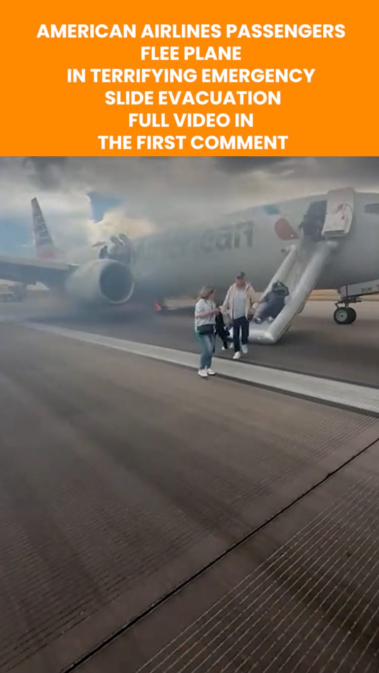 snaptik_7530958327329623351.00_00_01_04.Still003