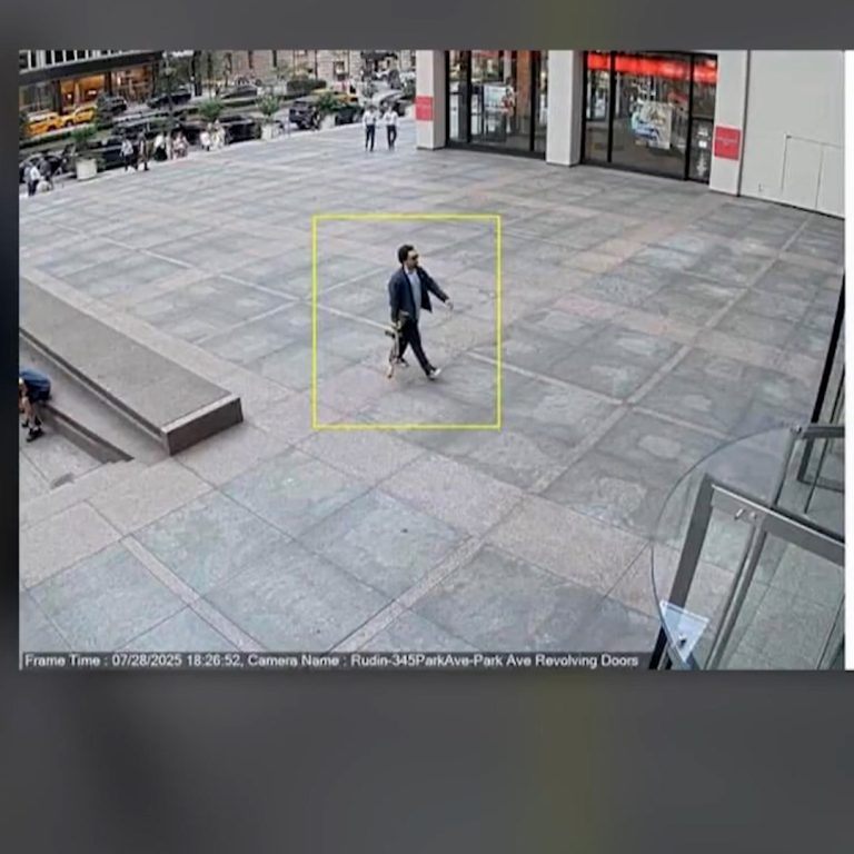 snaptik_7530958327329623351.00_00_46_16.Still004