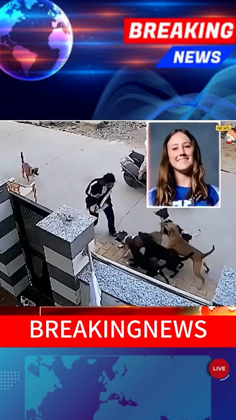 Sequence 01.00_02_44_01.Still007