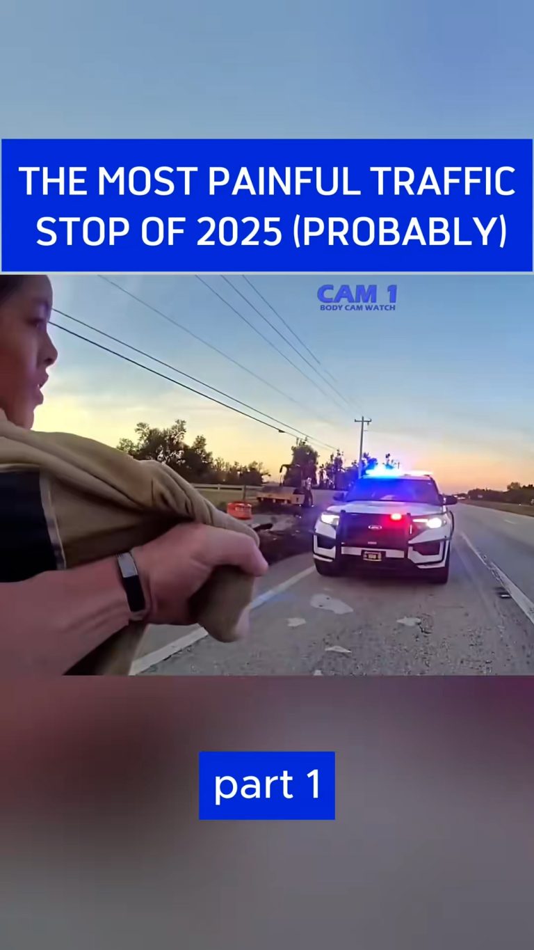 SnapTik-dot-Kim-9f80a5fe2c8613dc56b3839214fae942.00_33_20_10.Still011