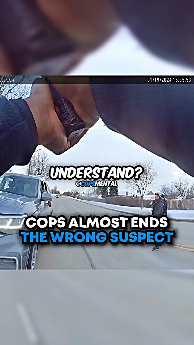 Vid.00_00_04_09.Still003