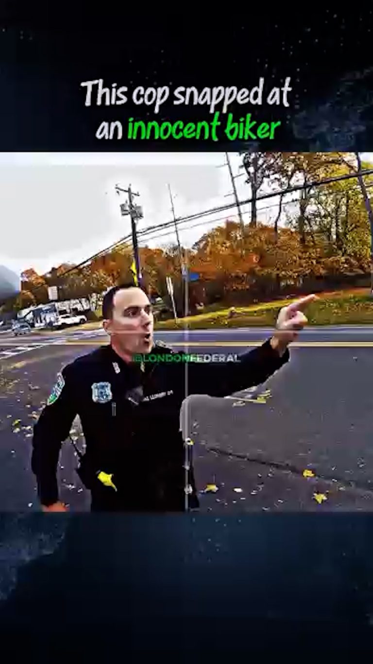 Video.00_00_00_00.Still023