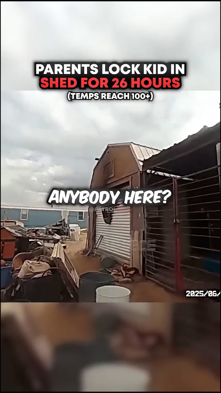 Video.00_00_00_15.Still007
