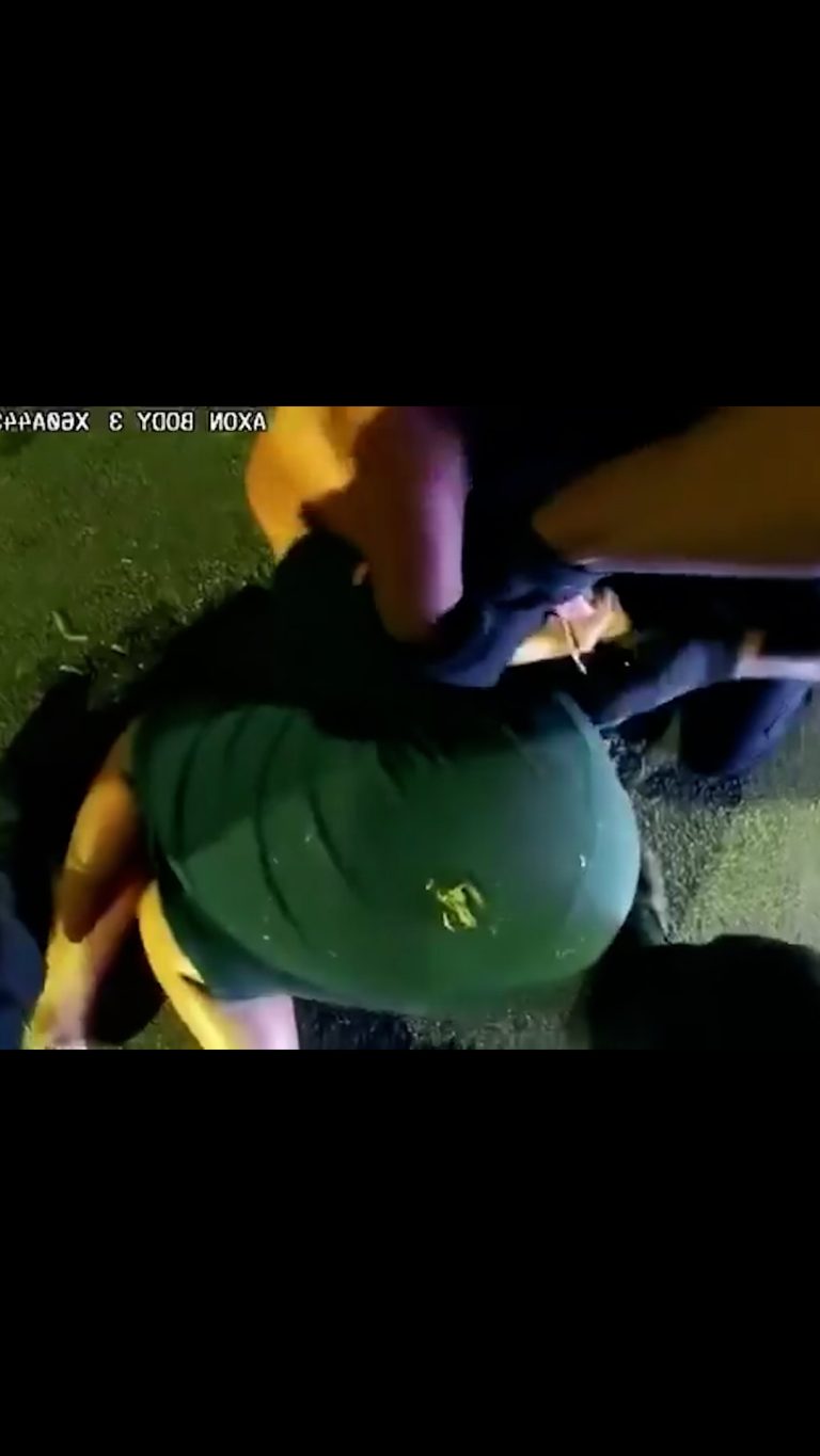 Video.00_00_09_05.Still012