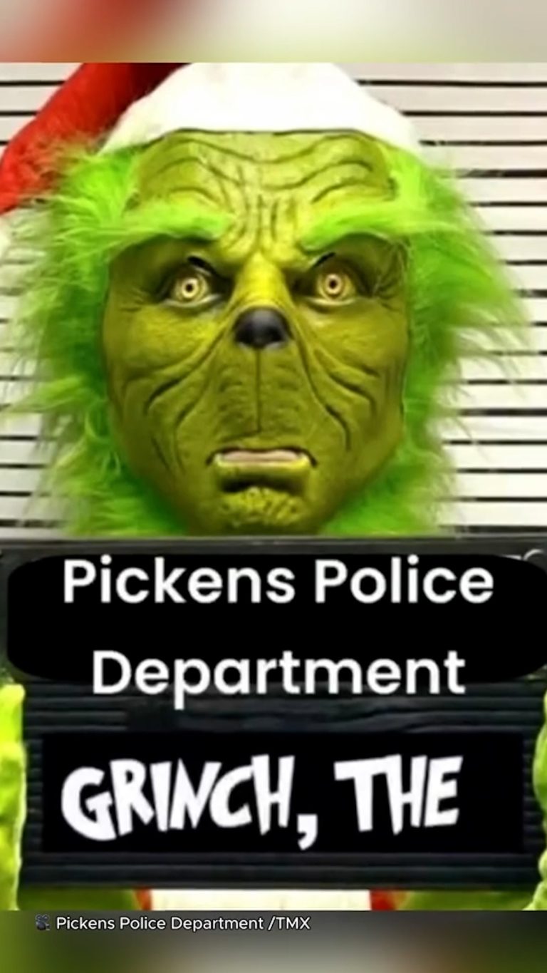 snaptik_7562475580902345997_v2.00_00_20_01.Still008