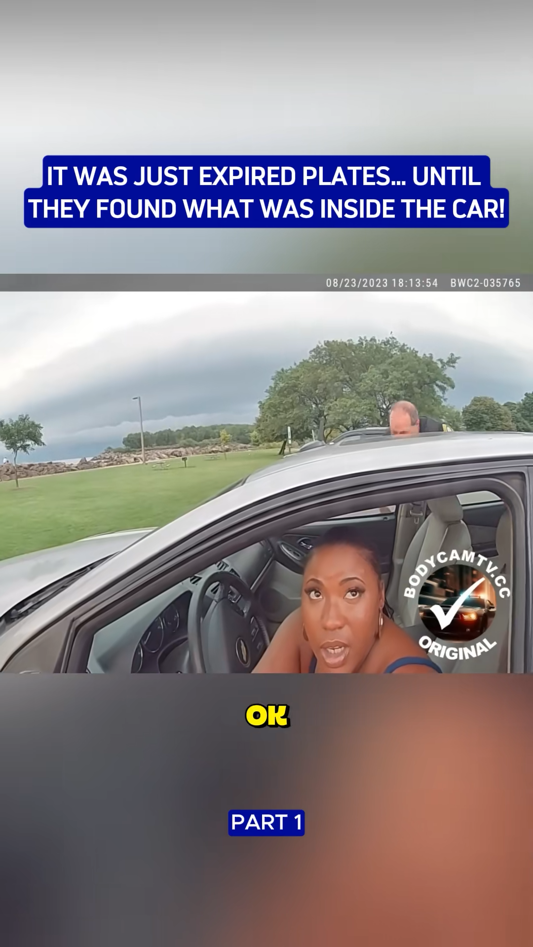 SnapTik-dot-Kim-9f80a5fe2c8613dc56b3839214fae942.00_35_19_15.Still005