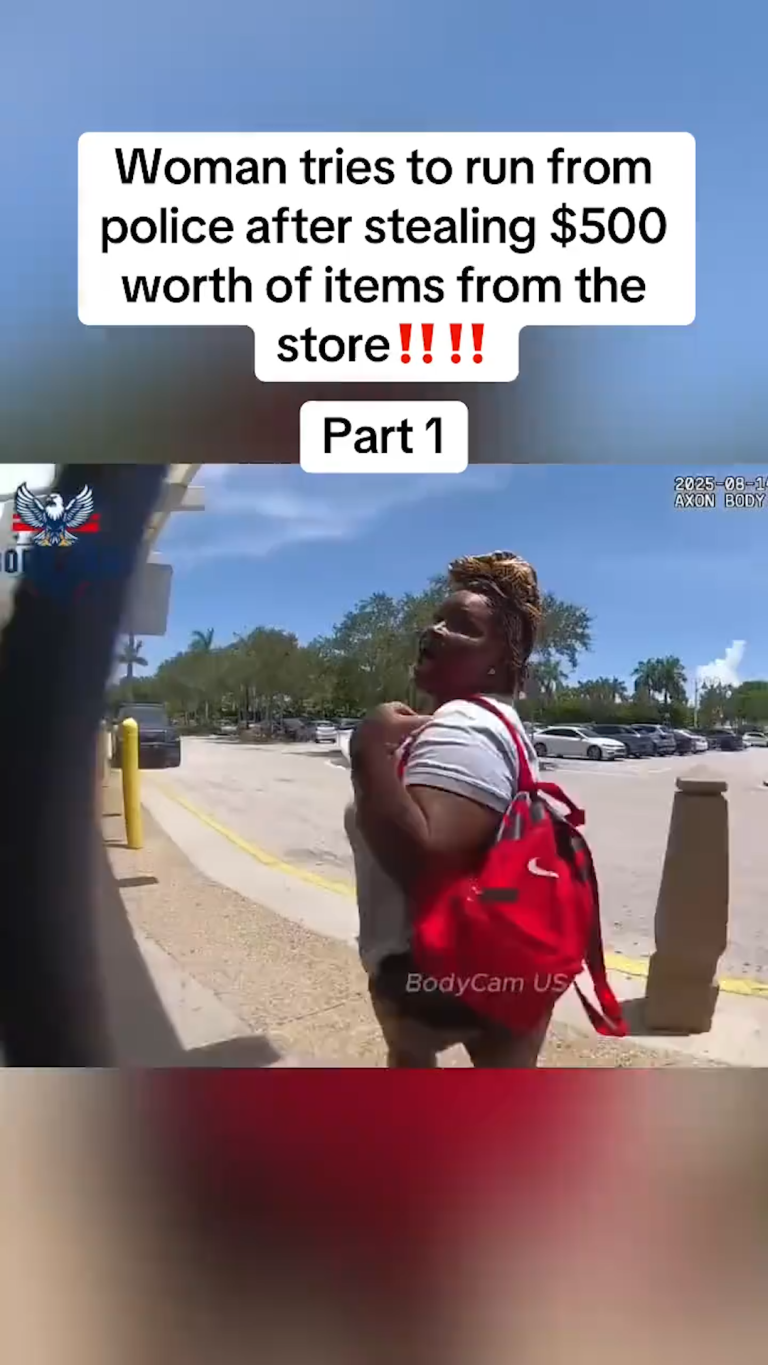 SnapTik-dot-Kim-9f80a5fe2c8613dc56b3839214fae942.00_35_47_06.Still006