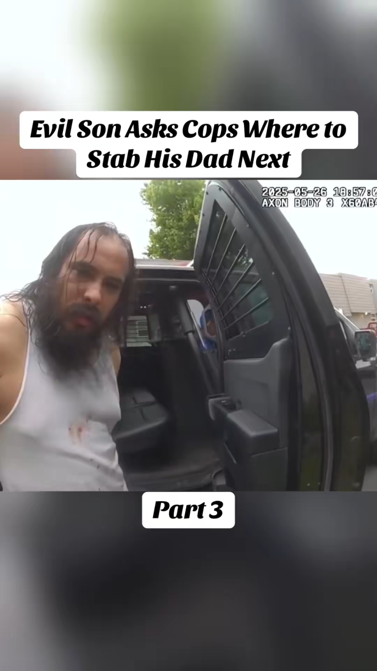 SnapTik-dot-Kim-9f80a5fe2c8613dc56b3839214fae942.00_43_38_08.Still013