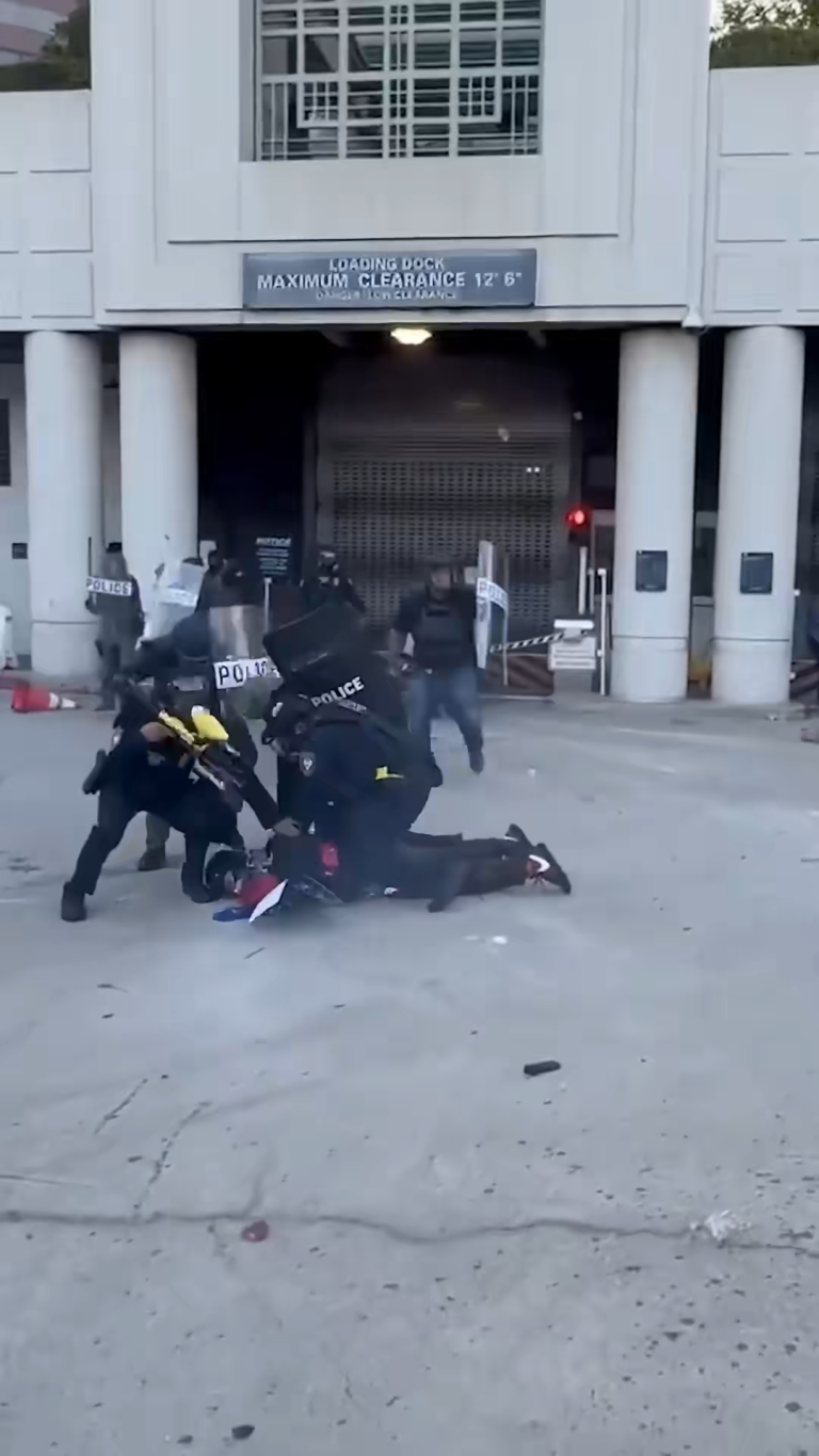 SnapTik-dot-Kim-9f80a5fe2c8613dc56b3839214fae942.00_50_57_00.Still023