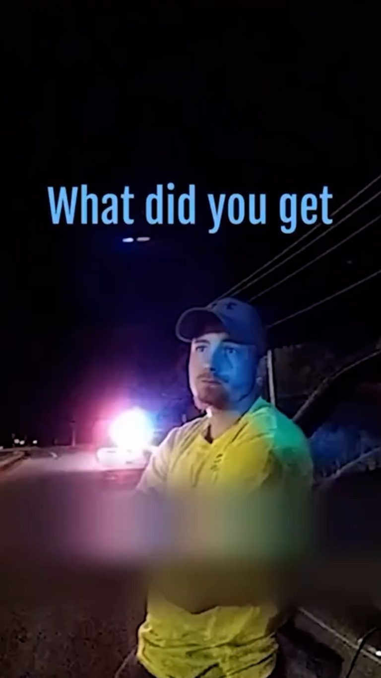 Video.00_00_00_00.Still037