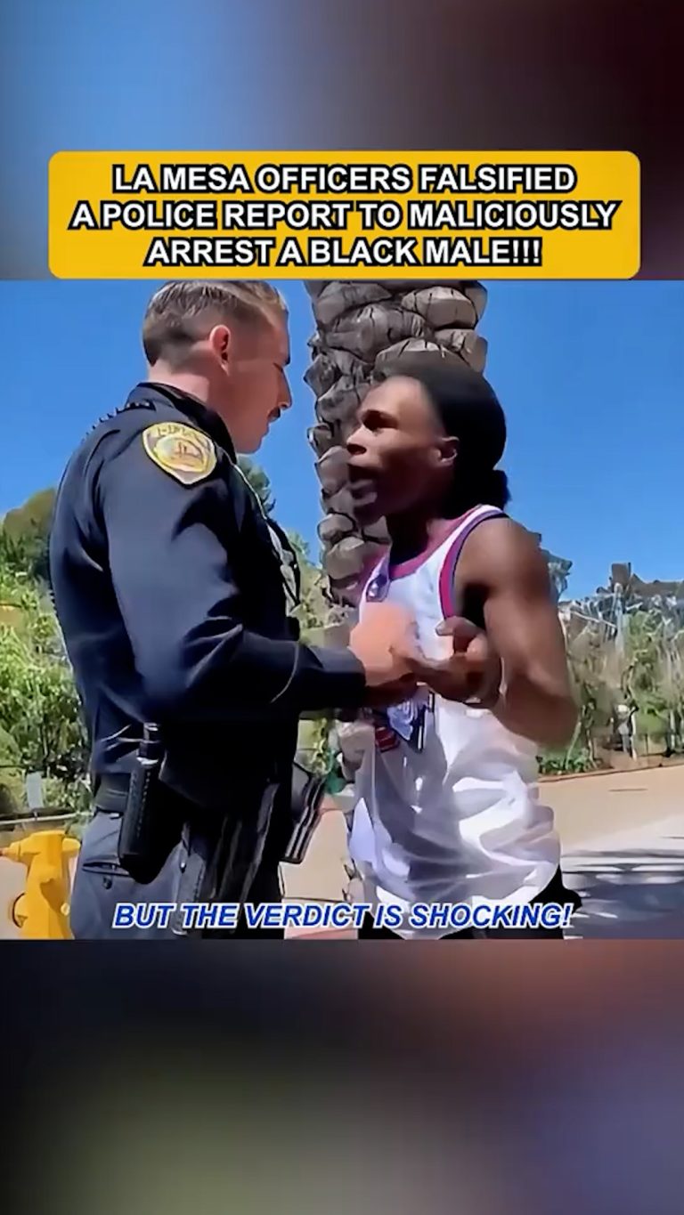 Video.00_00_00_00.Still038