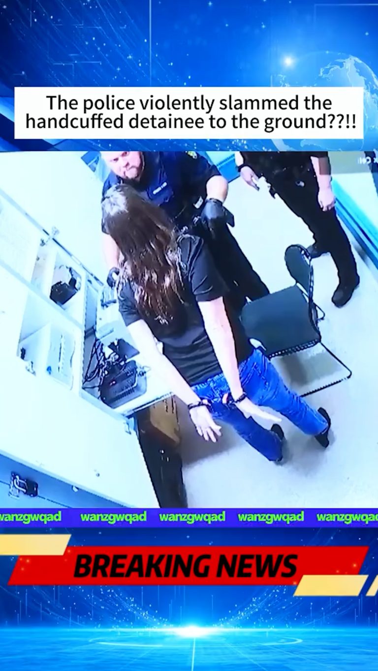 Video.00_00_00_00.Still053