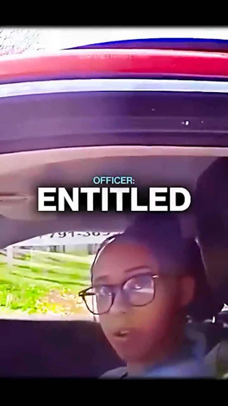 Video.00_00_04_18.Still035