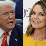 Gemini_Generated_Image_g6w6v0g6w6v0g6w6