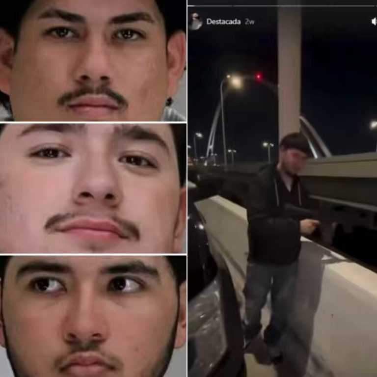 NEW Illegals arrested after firing guns on a packed Texas highway and shooting at a fa...see more