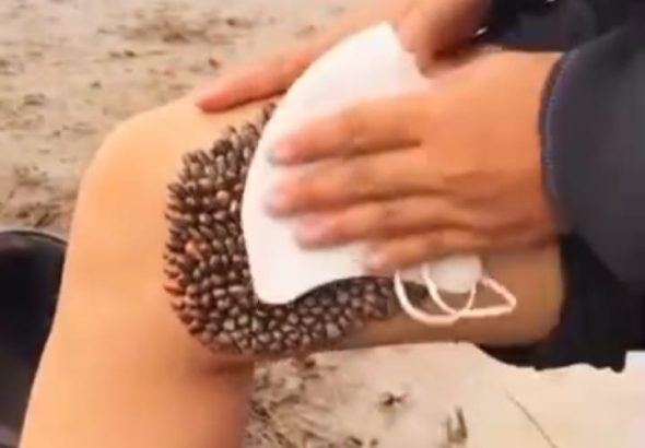 649665713_785946277894906_2835990078562419073_n (2)