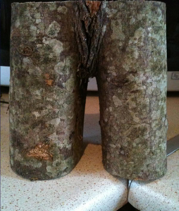 Here Are 15 Innocent Photos That Look Weird If You Have A Dirty Mind