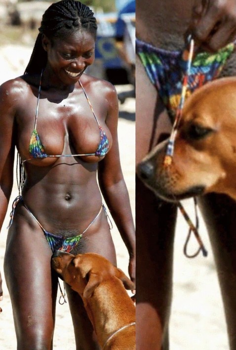 What It Really Means When Your Dog Sniffs Your Genital Area